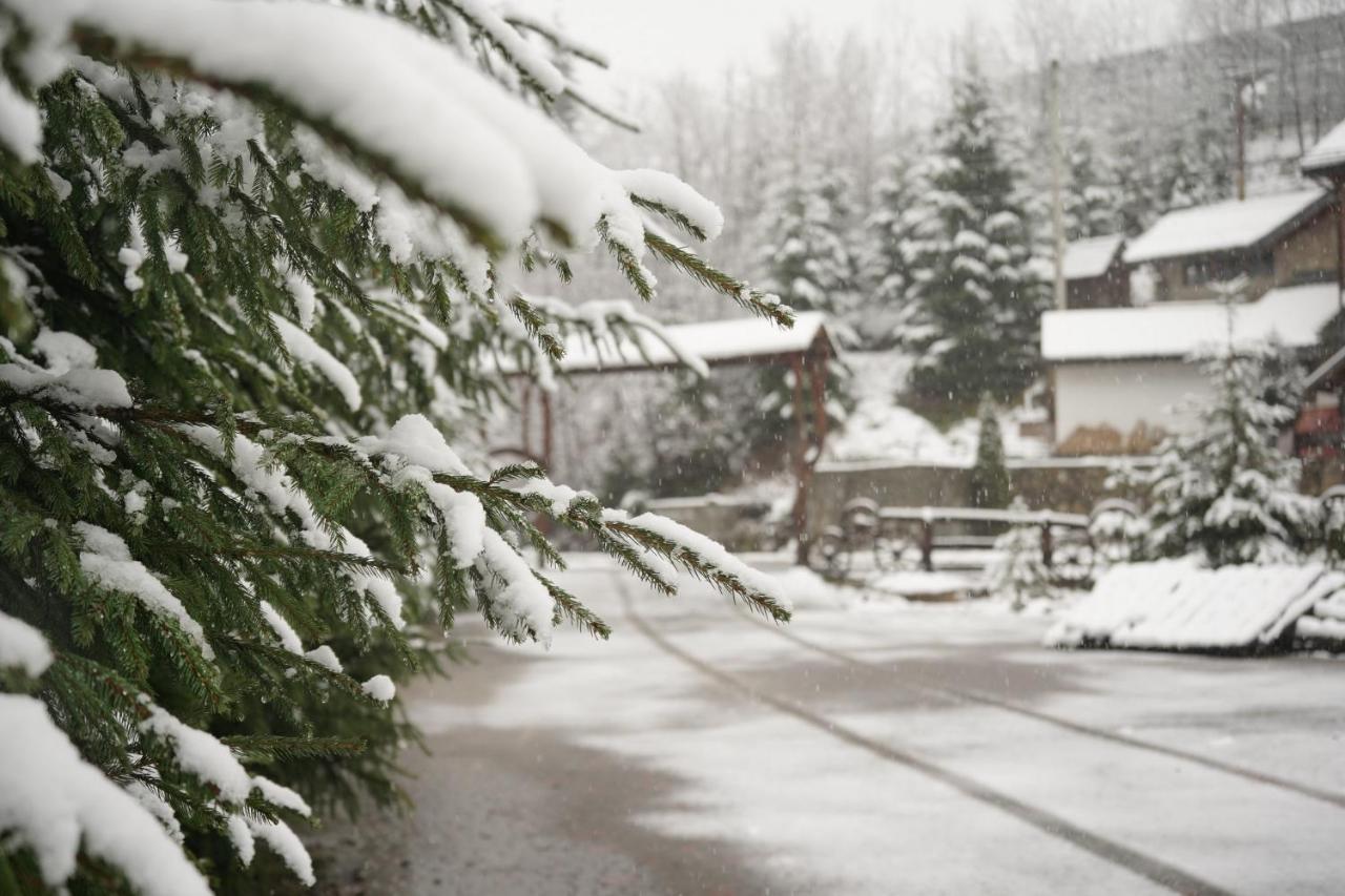 Girskiy Prutets Bukovel Bagian luar foto