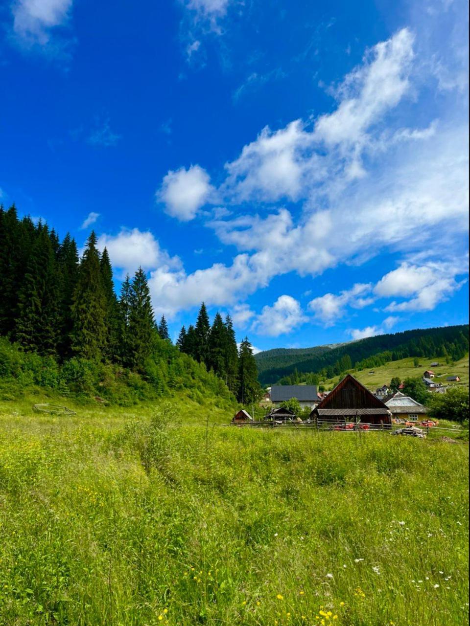 Girskiy Prutets Bukovel Bagian luar foto